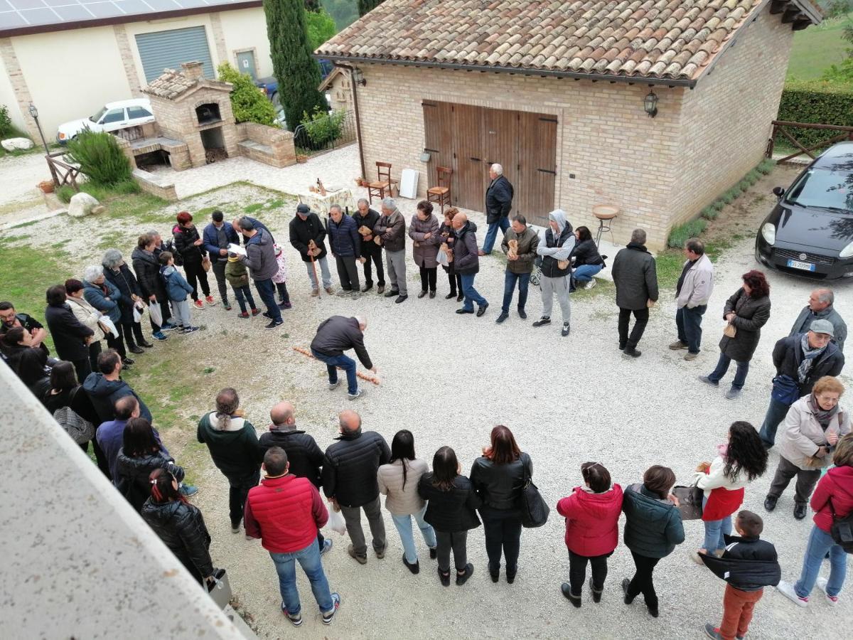 Agriturismo Alla Solagna Colli del Tronto Luaran gambar